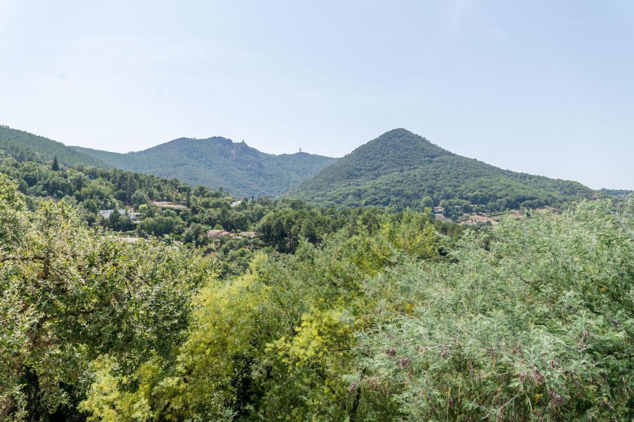 Le Grand Thao Apartment Frejus Bagian luar foto